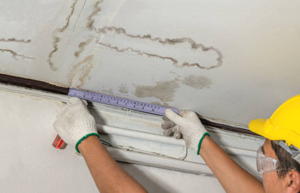 Reliable Burst Pipe Cleanup contractor in Locust Dale, VA by Water Damage Irwin